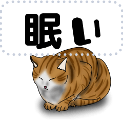 [LINEスタンプ] 茶トラ白猫 眠たい日常  メッセージ版