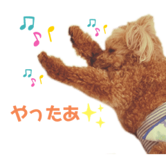 [LINEスタンプ] 元気な仔犬あーちゃん3