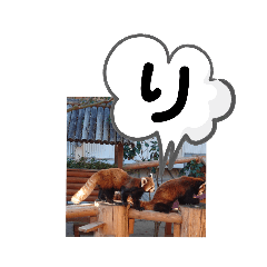 [LINEスタンプ] たけしのスタンプ 挨拶1