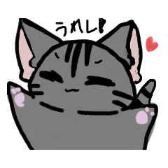 [LINEスタンプ] ねこ すたんぷ！！の画像（メイン）