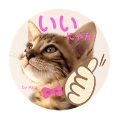 [LINEスタンプ] アリスタ726＊2021