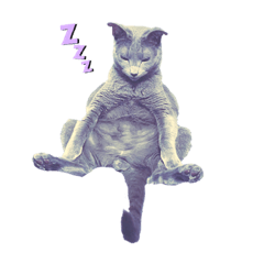 [LINEスタンプ] ロシブとアメショ。