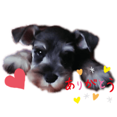 [LINEスタンプ] ロン⭐️モモ