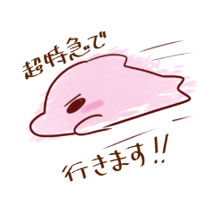 [LINEスタンプ] ピンクイルカのきゅんちゃん