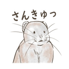 [LINEスタンプ] 気ままなエゾナキウサギさん