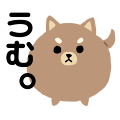 [LINEスタンプ] もふもふの犬もちお