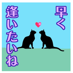 [LINEスタンプ] ずーっと使える猫スタンプ