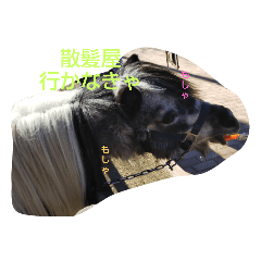 [LINEスタンプ] どうぶつたち(^^)