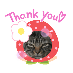 [LINEスタンプ] もぜのスタンプ