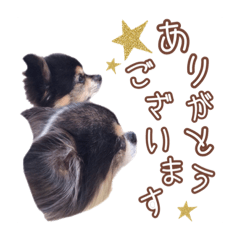 [LINEスタンプ] momo＆tsuku⓶