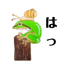 [LINEスタンプ] カエル時々カタツムリたまにオタマジャクシ